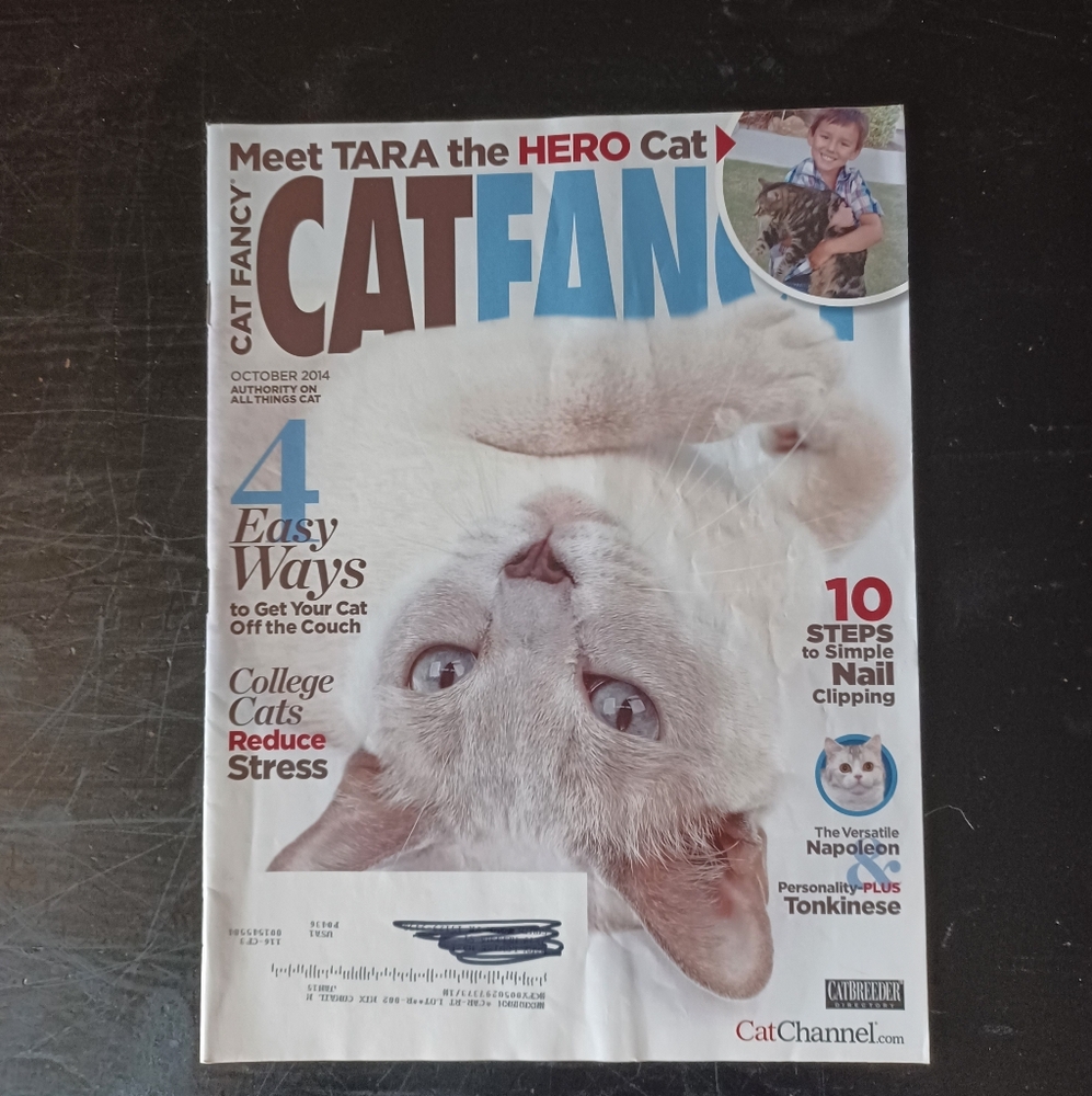 Cat Fancy October 2014 Magazine
